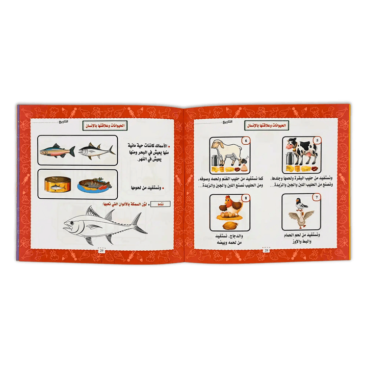 العلوم - Hekaya Bookstore - إرشاد للنشر - Hekaya Bookstore - العلوم -