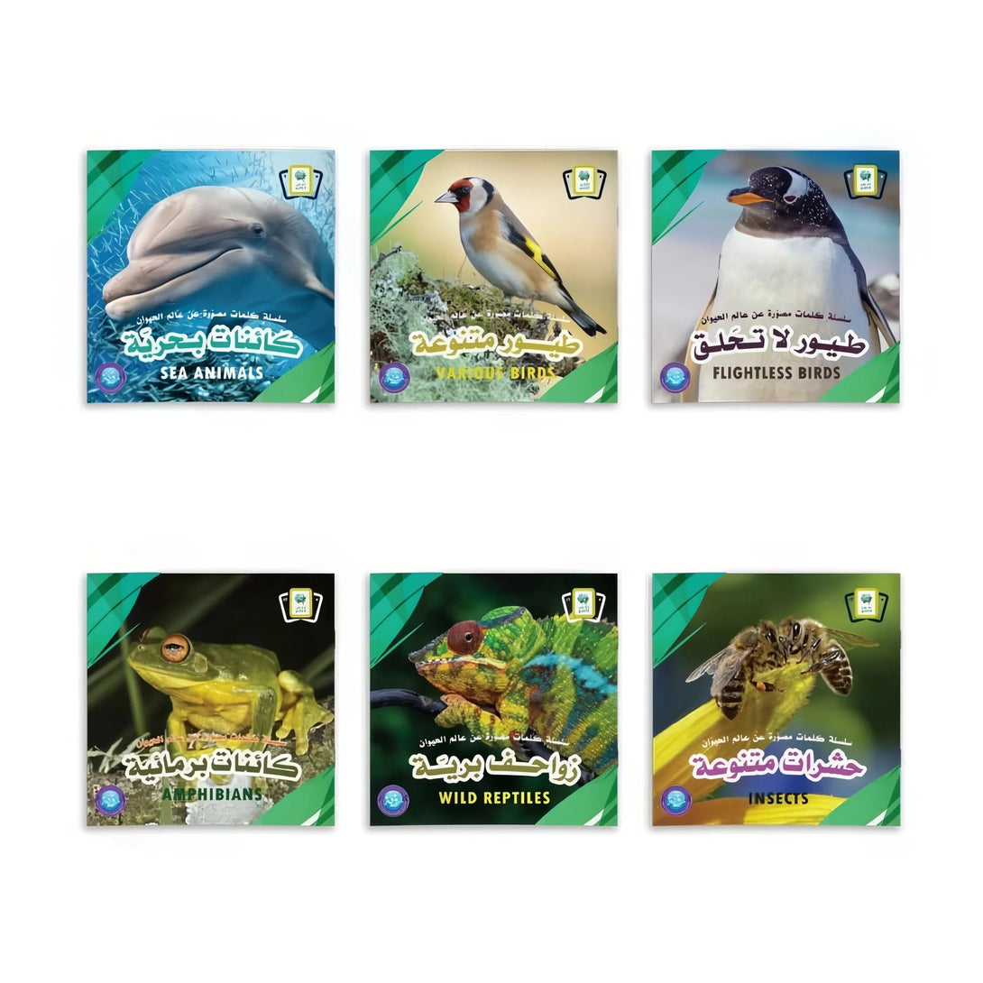 كتابي الصغير - سلسة كلمات مصورة عن عالم الحيوان - Hekaya Bookstore - رؤية للنشر والتوزيع - Hekaya Bookstore - كتابي الصغير - سلسة كلمات مصورة عن عالم الحيوان - Hekaya Bookstore - 