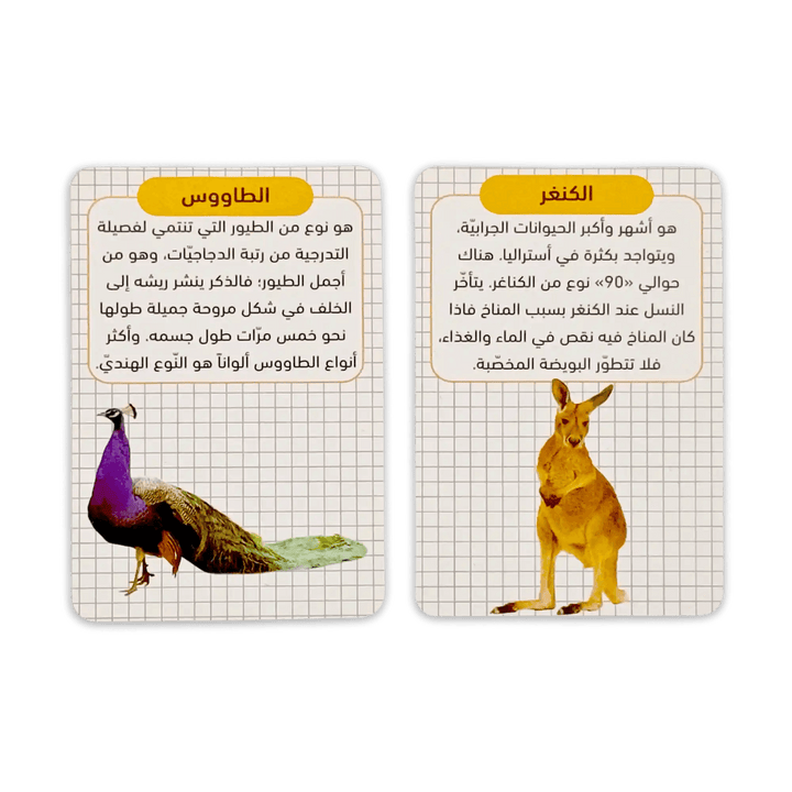 مسابقات تحدي الأذكياء - Hekaya Bookstore - إرشاد للنشر - Hekaya Bookstore - مسابقات تحدي الأذكياء - Hekaya Bookstore - 